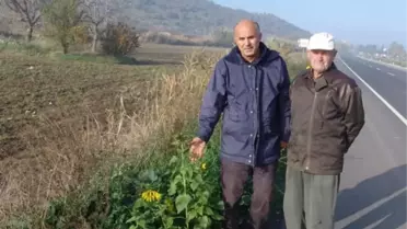 Deü Öğretim Üyesi Prof. Dr. Çetin: 'Ekolojik Kaos Kapıda'