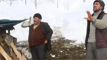 Rize'de Mahsur Kalan Çobanlar Kurtarılmak İstemedi