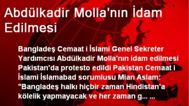 Abdülkadir Molla'nın İdam Edilmesi