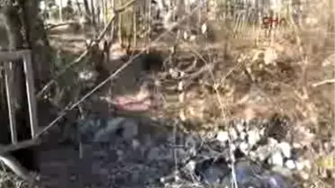 Sapanca Gölü'nde Tehlike Kapıda