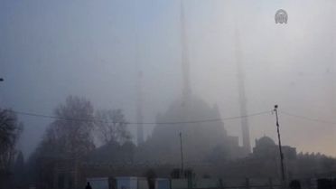 Edirne'de yoğun sis