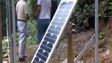 Arı kovanları, ayılardan elektrikli çitlerle korunacak -