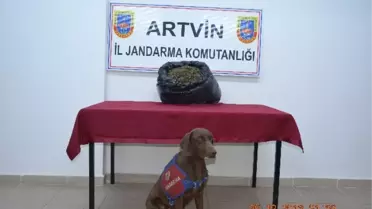 Artvin'de Uyuşturucu Operasyonu