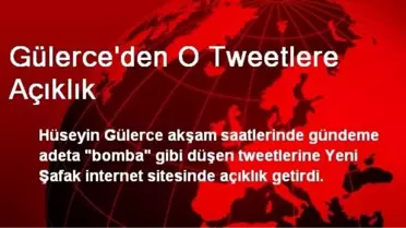 Gülerce'den O Tweetlere Açıklık