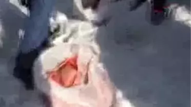 Soğuk Kış Günlerinde Yaban Hayvanları Unutulmuyor