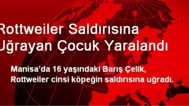 Rottweiler Saldırısına Uğrayan Çocuk Yaralandı