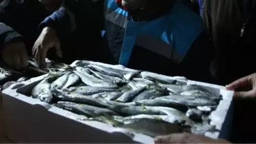 Başkent'te Tebliğe Uygun Olmayan Balık Satışına Geçit Yok