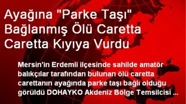 Ayağına 'Parke Taşı' Bağlanmış Ölü Caretta Caretta Kıyıya Vurdu