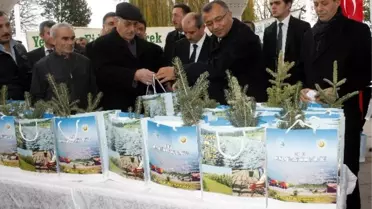 Kıyamet Koparken Bile Fidan Dikin'