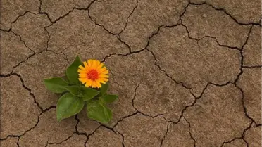 Türkiye'de Kuraklık Tehlikesi