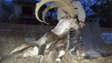 Engelli Avcı Dağ Keçisi Vurdu