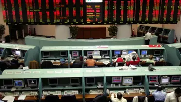 Yatırımcı Rehberi