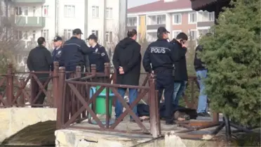 En Acı Tesadüf