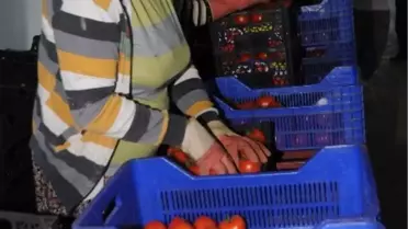 Sebze Meyve Fiyatlarına İhracat ve Soğuk Etkisi