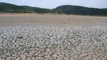 İstanbul'un Barajları Alarm Veriyor