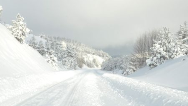 Taşlıçay'da Yol Açma Çalışmaları