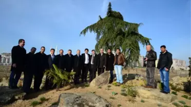 Yeşil Vadi Yeşeriyor