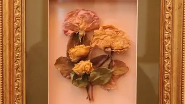 20 Yıllık Kurutulmuş Çiçekler Hamamönü'nde Sergileniyor