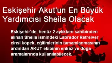 Eskişehir Akut'un En Büyük Yardımcısı Sheila Olacak