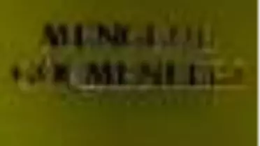 Mengene Göçmenleri Kitabı