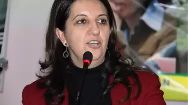 BDP Iğdır'da Konser Düzenledi