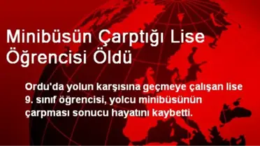Ordu'da Minibüsün Çarptığı Lise Öğrencisi Öldü