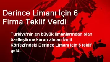 Derince Limanı İçin 6 Firma Teklif Verdi
