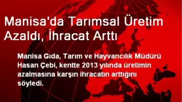Manisa'da Tarımsal Üretim Azaldı, İhracat Arttı
