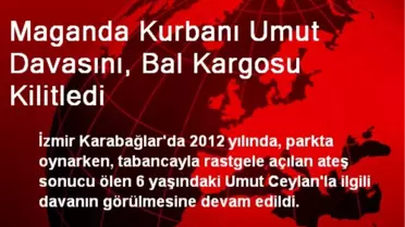 Maganda Kurbanı Umut Davasını, Bal Kargosu Kilitledi
