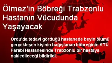 Ölmez'in Böbreği Trabzonlu Hastanın Vücudunda Yaşayacak