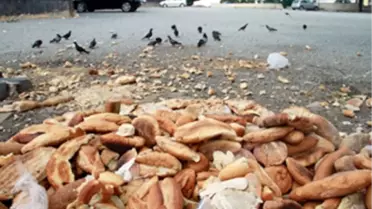 Ekmek İsrafının Önlenmesi Kampanyası'