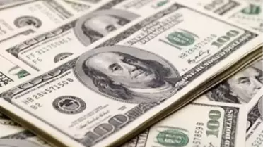Merkez Bankasının Dövize Doğrudan Müdahalesi
