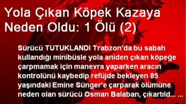 Yola Çıkan Köpek Kazaya Neden Oldu: 1 Ölü (2)