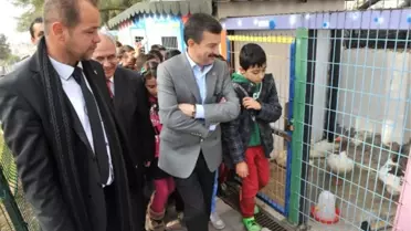 Başkan Tatı Karne Dağıttı, Sevgi Parkı'nı Açtı