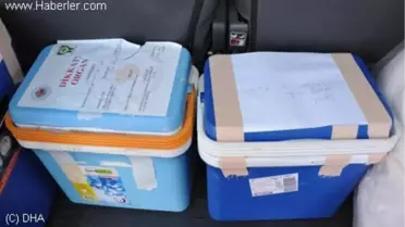 İki Kişinin Organları 8 Hastaya Umut Oldu