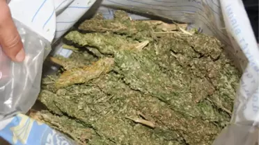 Yolcu Otobüsünde 19 Kilo Esrar Ele Geçirildi