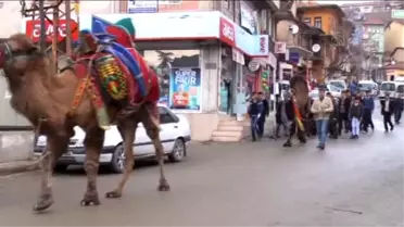 Kuraklığa Karşı Çifte Deve Kurban Ettiler
