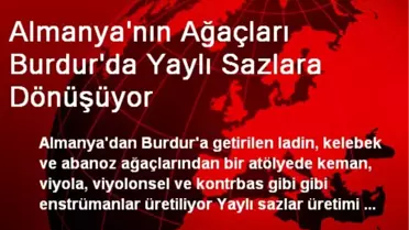 Almanya'nın Ağaçları Burdur'da Yaylı Sazlara Dönüşüyor