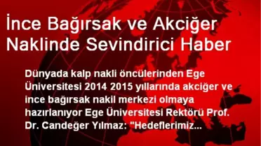 İnce Bağırsak ve Akciğer Naklinde Sevindirici Haber