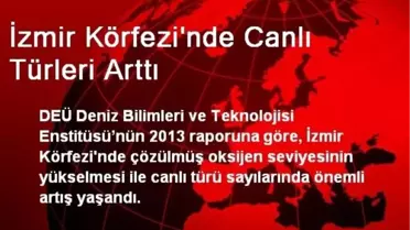 İzmir Körfezi'nde Canlı Türleri Arttı