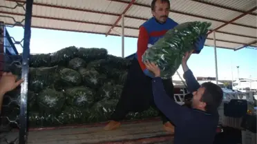 Nakliyecilerin Eylemi Sona Erdi