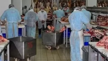 Et ve Süt Kurumu'ndan Besicilere Pazar Garantisi Sürüyor