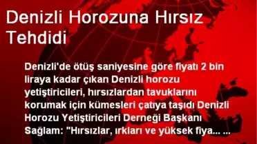 Denizli Horozuna Hırsız Tehdidi