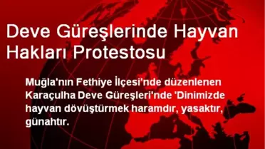 Deve Güreşlerinde Hayvan Hakları Protestosu