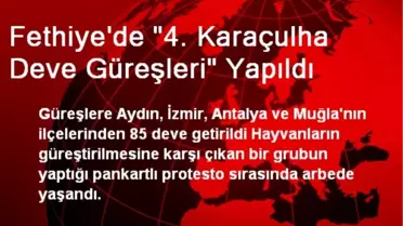 Fethiye'de '4. Karaçulha Deve Güreşleri' Yapıldı