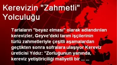 Kerevizin 'Zahmetli' Yolculuğu