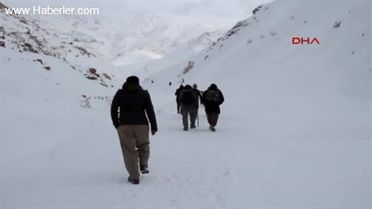 Çığ Altında Kalan 4 İranlıyı Arama Çalışmaları Sürüyor