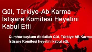 Gül, Türkiye-Ab Karma İstişare Komitesi Heyetini Kabul Etti