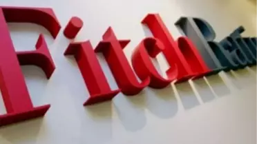 Fitch'ten Stres Testi Açıklaması