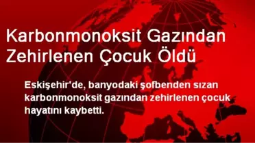 Eskişehir'de Karbonmonoksit Gazından Zehirlenen Çocuk Öldü